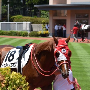 2023/8/6 3歳未勝利