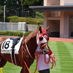 2023/8/6 3歳未勝利