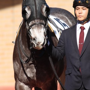 2025/1/26 4歳以上1勝クラス