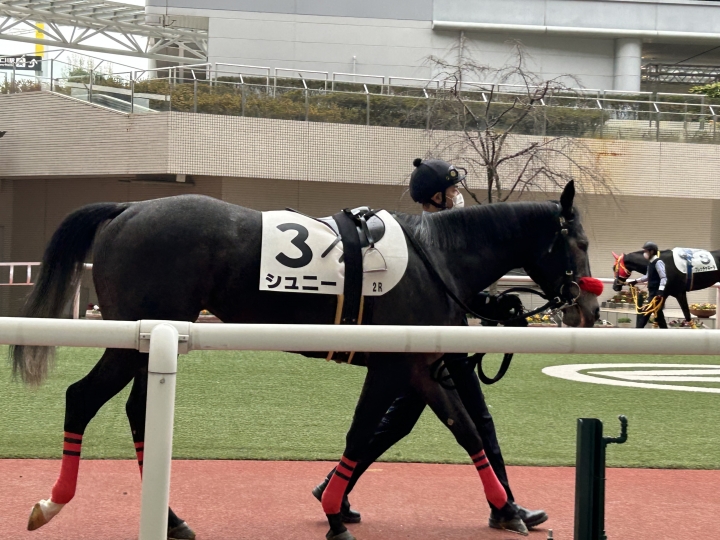 2022/12/17 2歳未勝利 シュニー