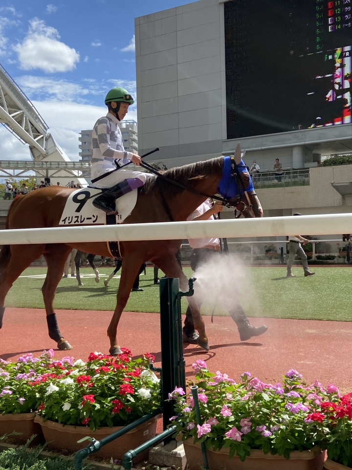 2023/9/23 3歳以上1勝クラス イリスレーン