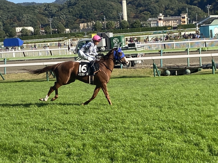 2024年11月 イリスレーン