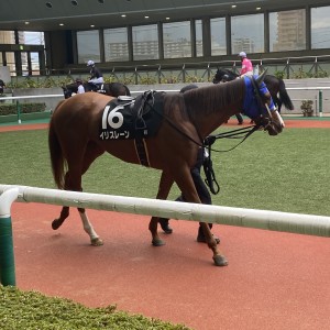 2024/11/16 高湯温泉特別(1勝クラス)