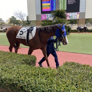 2025/1/25 4歳以上1勝クラス