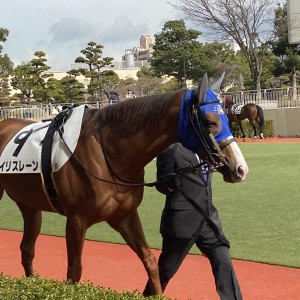 2025/2/16 4歳以上1勝クラス(牝)