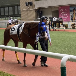 2025/4/20 4歳以上1勝クラス