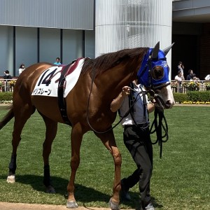 2025/6/28 3歳以上1勝クラス