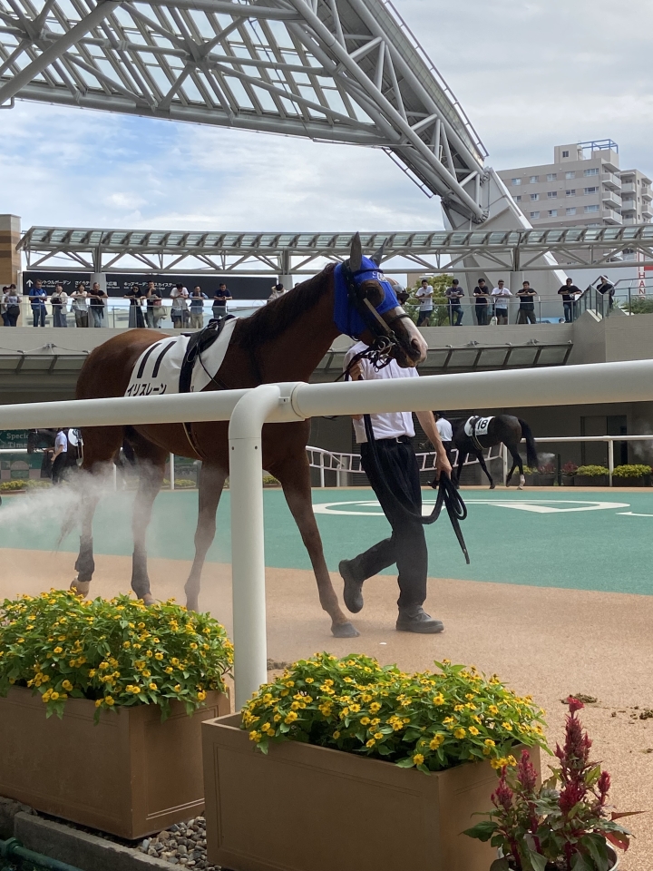2025/9/28 3歳以上1勝クラス イリスレーン