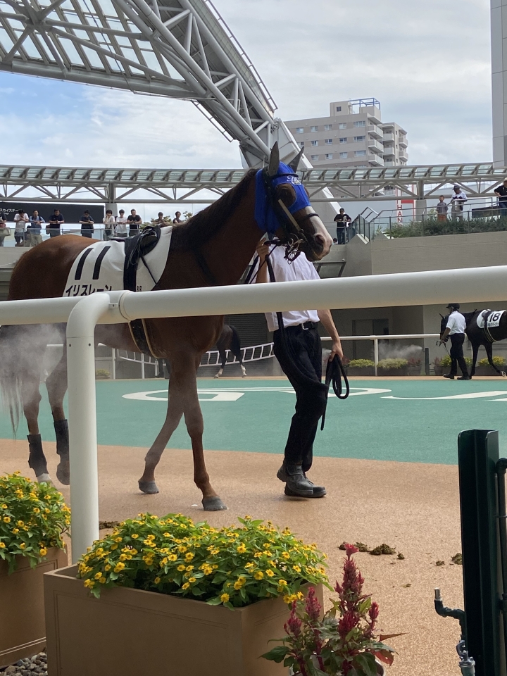 2025/9/28 3歳以上1勝クラス イリスレーン