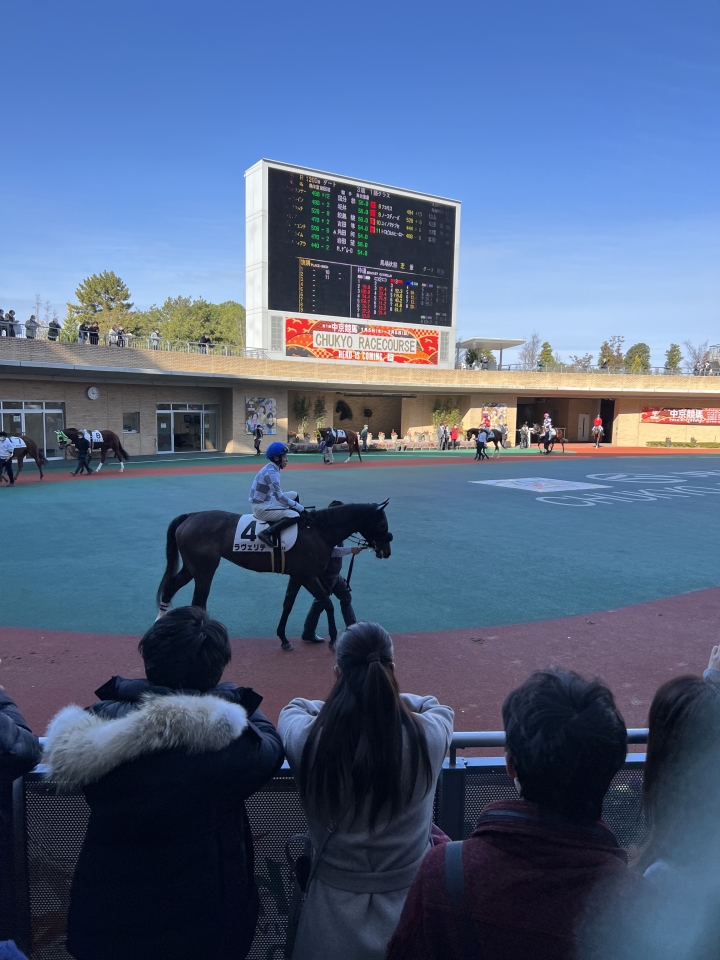2023/1/15 3歳1勝クラス ラヴェリテ