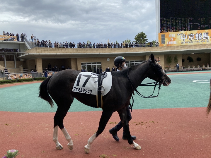 2022/12/4 2歳未勝利 フォミルマジック