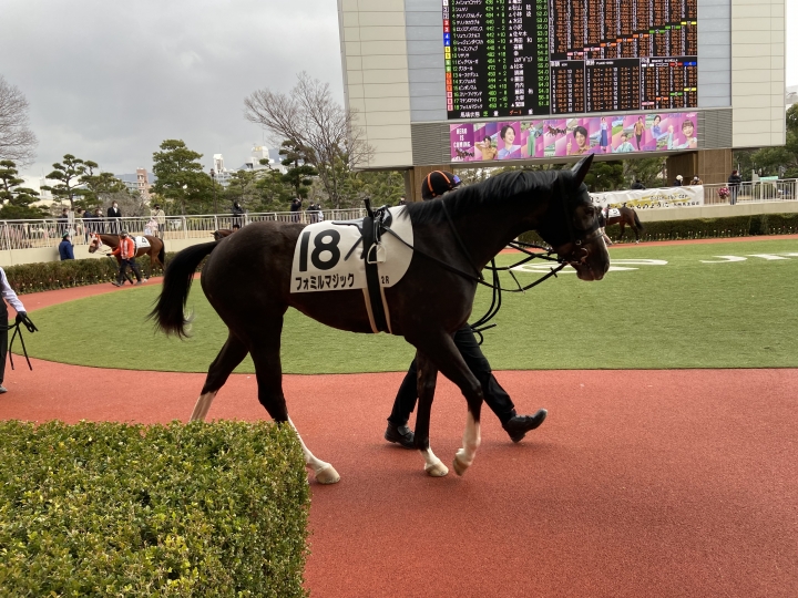 2023/1/29 3歳未勝利 フォミルマジック