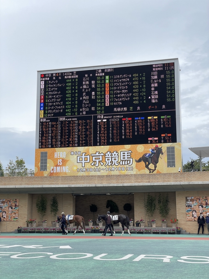 オッズボード フォミルマジック
