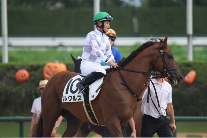 2024年9月 ルクルス