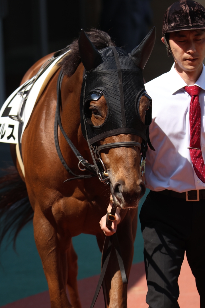 2025/3/23 4歳以上1勝クラス ルクルス