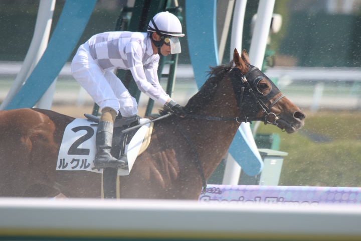 2025年3月 ルクルス