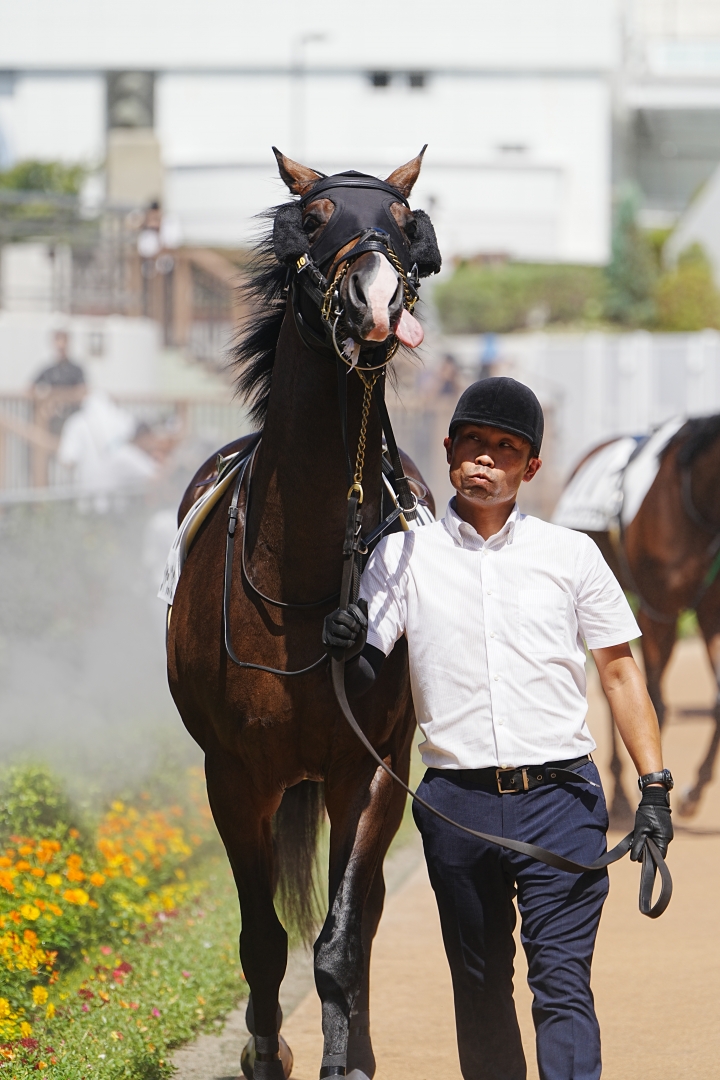 2023/9/10 3歳以上1勝クラス シャーンゴッセ