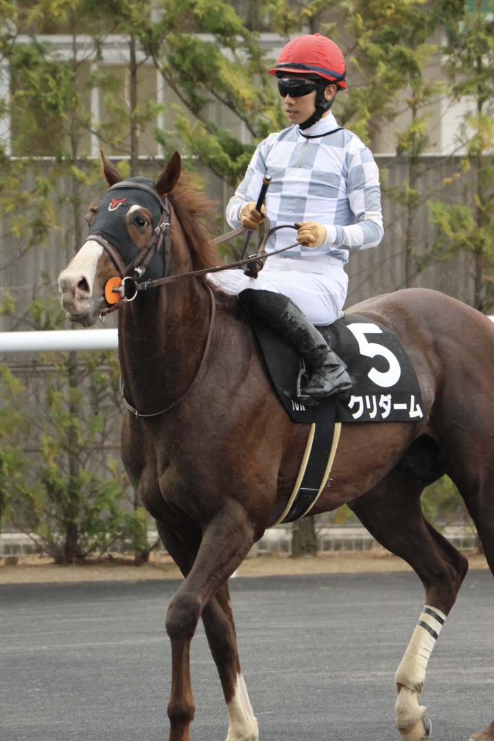 2025年4月 クリダーム