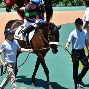 メイクデビュー東京　２歳新馬　パドック