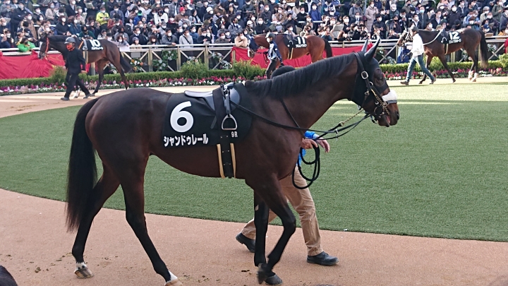 2022年12月 シャンドゥレール