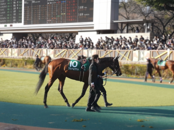 2023/2/11 クイーンカップ(G3) グランベルナデット
