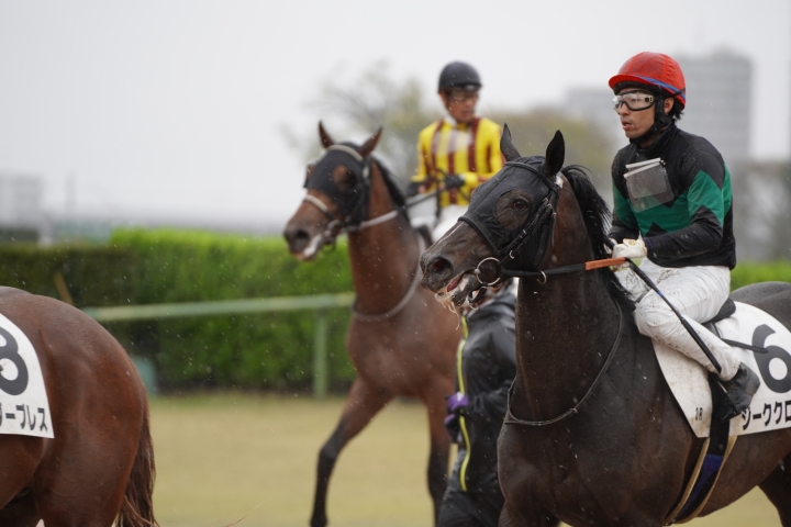 2023/3/25 3歳未勝利 ジーククローネ