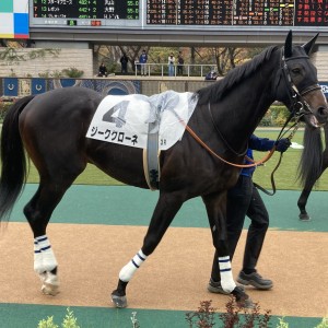 2022/11/26 2歳未勝利