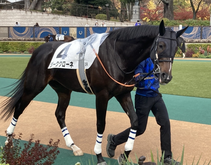 2022/11/26 2歳未勝利 ジーククローネ