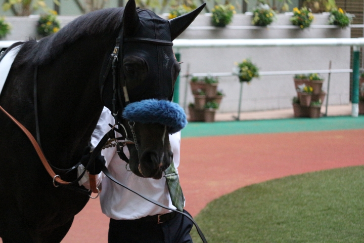 20231105 福島競馬場 1勝C ジーククローネ