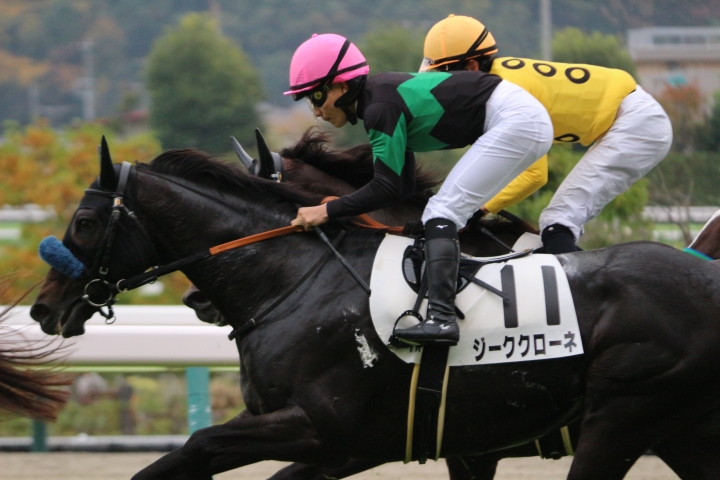 20231105 福島競馬場 1勝C ジーククローネ