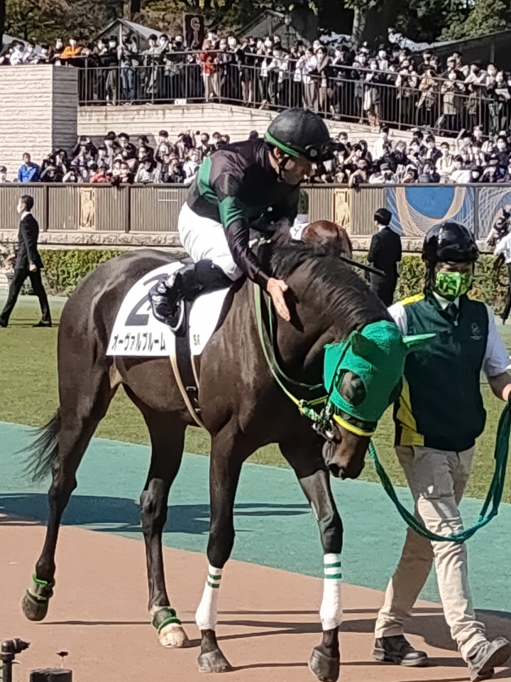 2022/10/30 2歳新馬 オーヴァルブルーム