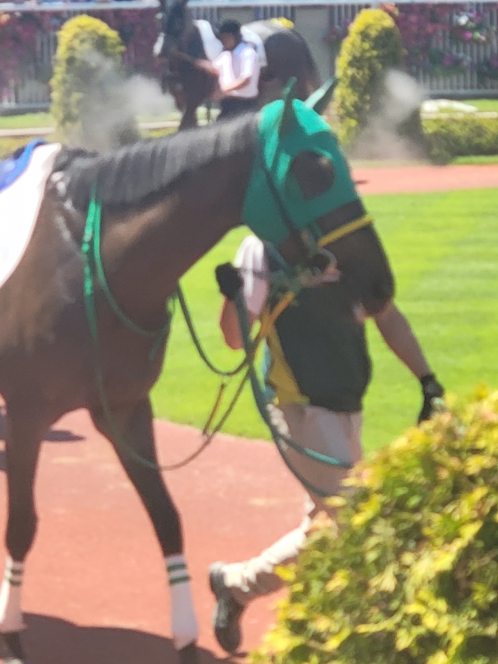 2023/8/13 3歳未勝利(牝) オーヴァルブルーム