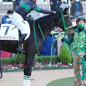 2022/12/18 2歳未勝利(牝)