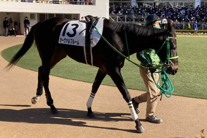 2023/1/9 3歳未勝利(牝) オーヴァルブルーム