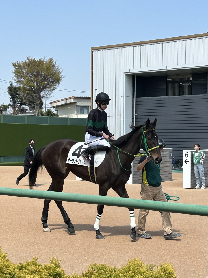 2023/4/1 3歳未勝利 オーヴァルブルーム