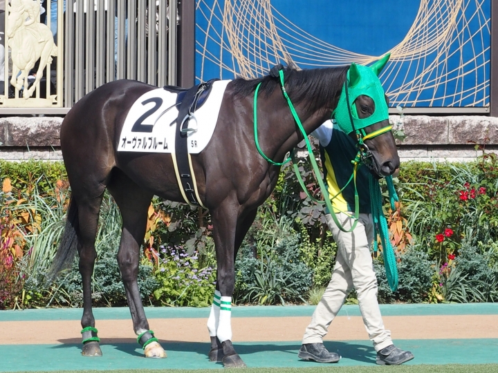 2022/10/30 2歳新馬 オーヴァルブルーム