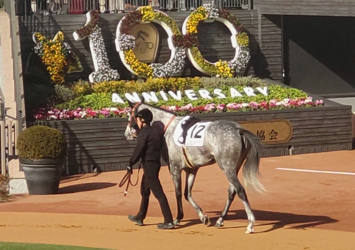 2025年11月 レジェンドシップ