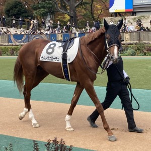 2022/11/5 2歳新馬