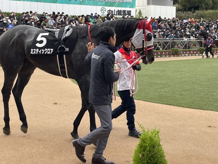 2023年12月 ミスティックロア