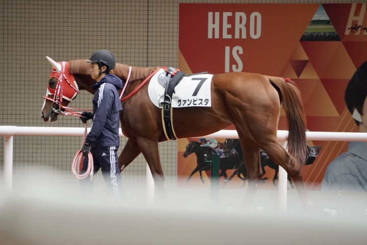 2022/12/4 2歳新馬 ヴァンビスタ