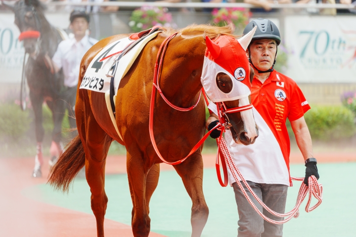 2023/7/15 3歳未勝利 ヴァンビスタ