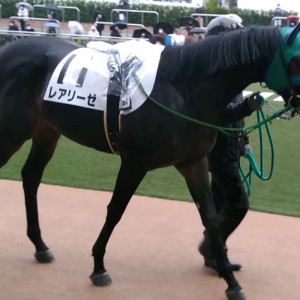 令和5年1月14日（土）中山 芝1600m