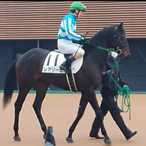 2023/1/14 3歳新馬　458kg 武士沢友治