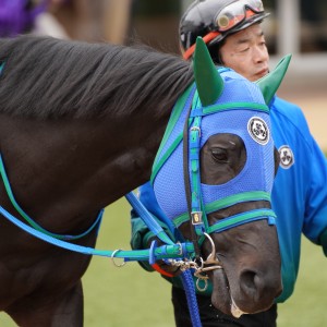 2023/1/15 3歳新馬