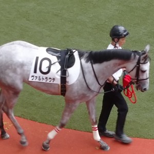 新馬戦
