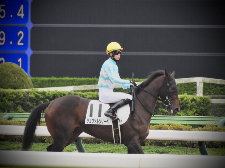 2022年10月 シュヴァルツリーベ