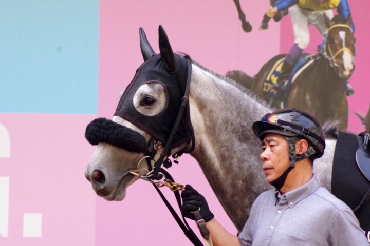2024/4/14 奥の細道特別(2勝クラス) フェミナフォルテ