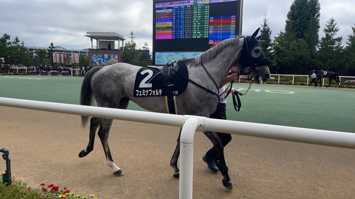 2024/8/17 札幌日刊S杯(2勝クラス) フェミナフォルテ
