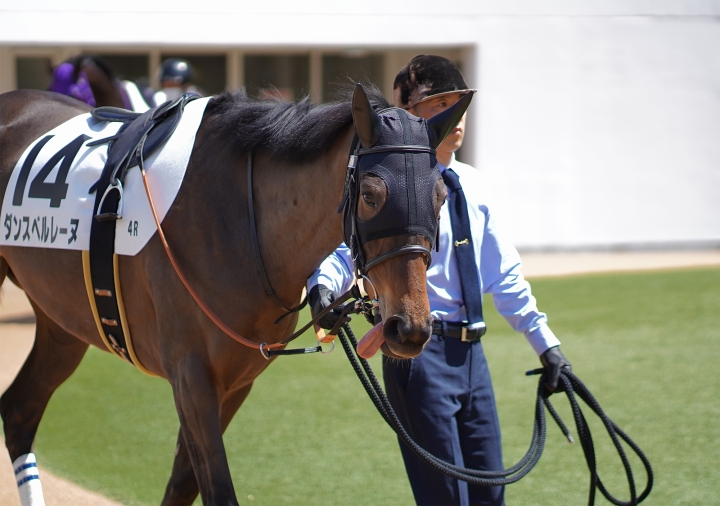 2023/4/9 3歳未勝利 ダンスベルレーヌ