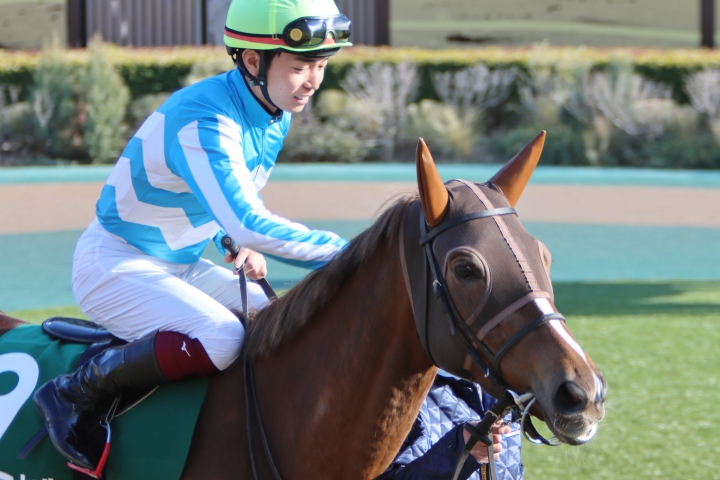 2025/2/22 ダイヤモンドS(G3) ヴェルミセル